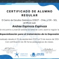 Acercar imagen: certificate 4