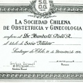 Acercar imagen: certificate 7