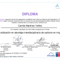 Acercar imagen: certificate 13