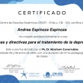 Acercar imagen: certificate 10