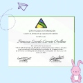 Acercar imagen: certificate 12