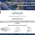 Acercar imagen: certificate 6