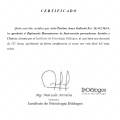 Acercar imagen: certificate 2