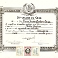 Acercar imagen: certificate 10