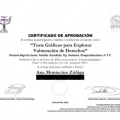 Acercar imagen: certificate 3
