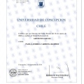 Acercar imagen: certificate 6
