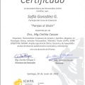 Acercar imagen: certificate 1