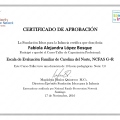 Acercar imagen: certificate 5