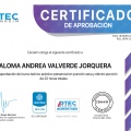 Acercar imagen: certificate 1