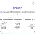 Acercar imagen: certificate 4