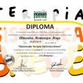 Acercar imagen: certificate 4