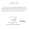 Acercar imagen: certificate 3