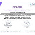 Acercar imagen: certificate 106