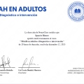 Acercar imagen: certificate 1