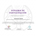 Acercar imagen: certificate 9