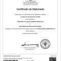 Acercar imagen: certificate 1