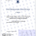 Acercar imagen: certificate 4