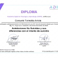 Acercar imagen: certificate 87
