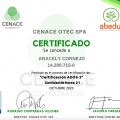 Acercar imagen: certificate 8