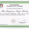 Acercar imagen: certificate 61