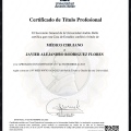 Acercar imagen: certificate 6