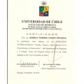 Acercar imagen: certificate 7