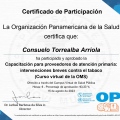 Acercar imagen: certificate 80
