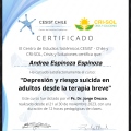 Acercar imagen: certificate 6