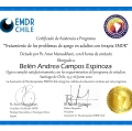 Acercar imagen: certificate 1