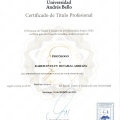Acercar imagen: certificate 4