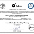 Acercar imagen: certificate 9