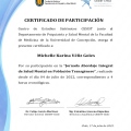 Acercar imagen: certificate 6