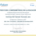 Acercar imagen: certificate 11
