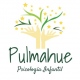 Pulmahue Psicología Infantil