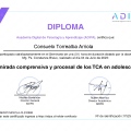 Acercar imagen: certificate 101