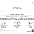 Acercar imagen: certificate 7