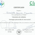 Acercar imagen: certificate 7
