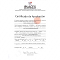 Acercar imagen: certificate 9