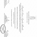 Acercar imagen: certificate 9