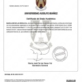 Acercar imagen: certificate 1