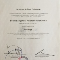 Acercar imagen: certificate 5