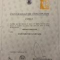 Acercar imagen: certificate 2