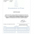 Acercar imagen: certificate 8
