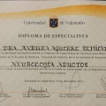 Acercar imagen: certificate 1