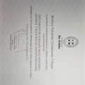 Acercar imagen: certificate 6