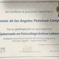 Acercar imagen: certificate 10