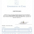 Acercar imagen: certificate 5
