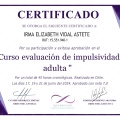 Acercar imagen: certificate 2