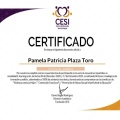 Acercar imagen: certificate 5