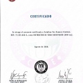 Acercar imagen: certificate 5